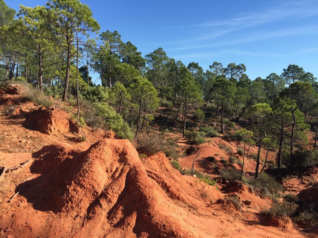 Le Chant Du Coeur Roussillon  Ngoại thất bức ảnh